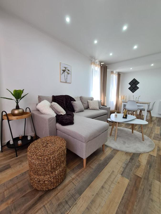 Le Raffine-Parking Prive-Proche Frontiere Bale Appartement Saint-Louis  Buitenkant foto