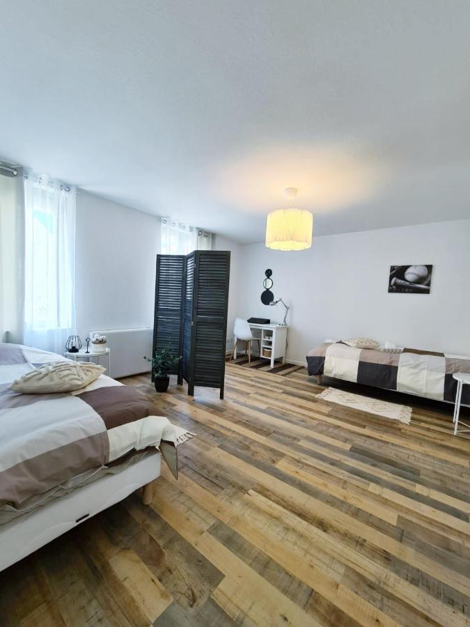 Le Raffine-Parking Prive-Proche Frontiere Bale Appartement Saint-Louis  Buitenkant foto
